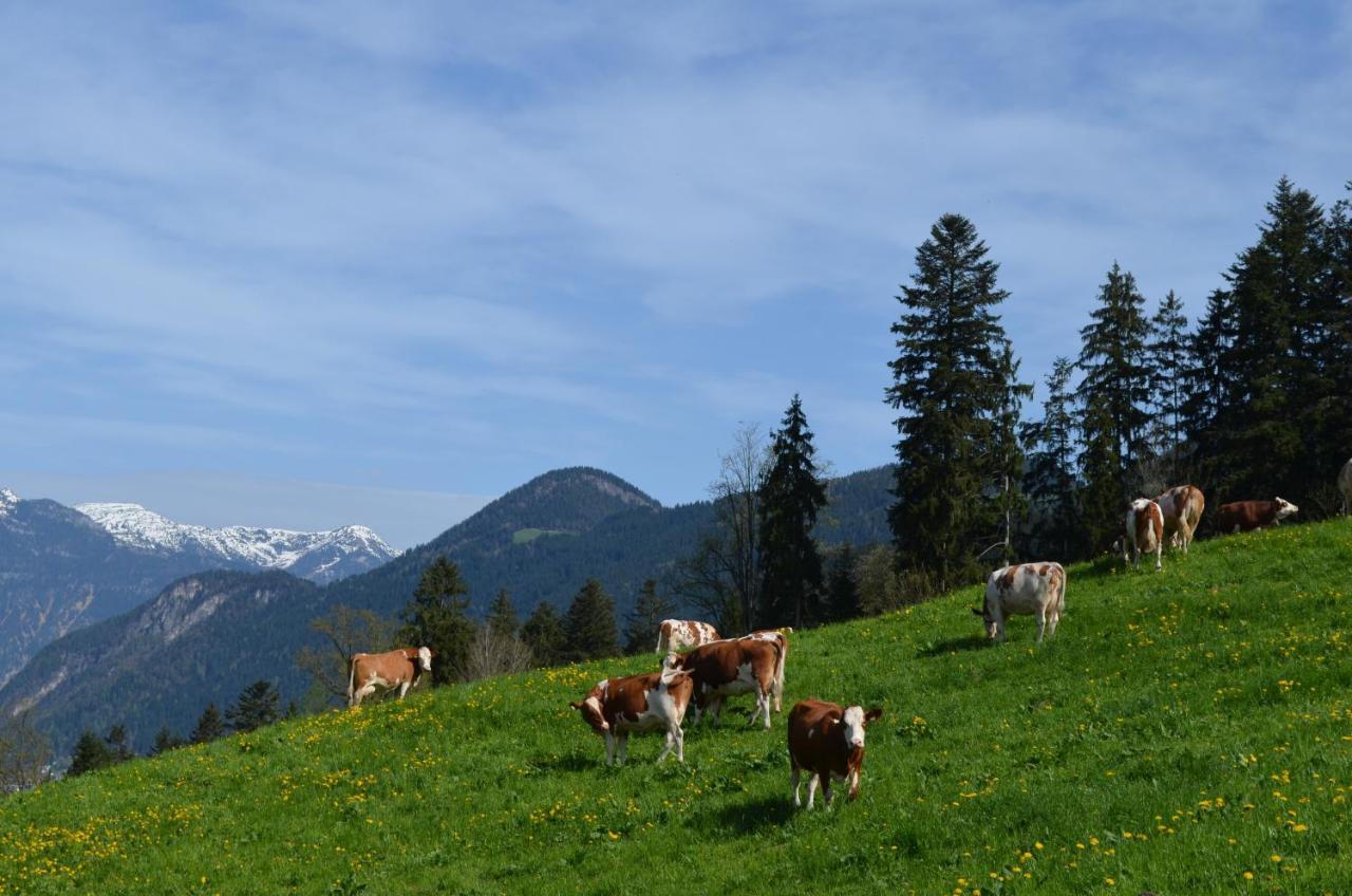 Apart Timeout Hart im Zillertal Exterior foto